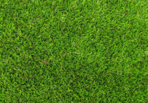 Artificial Grass Dubai 